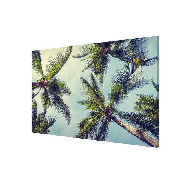 Magnet boards flower The Palm Trees