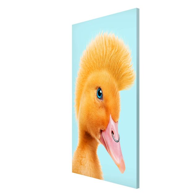 Magnet boards animals Chicks With Piercing