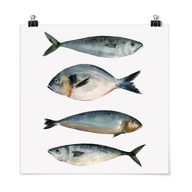 Prints animals Four Fish In Watercolour II
