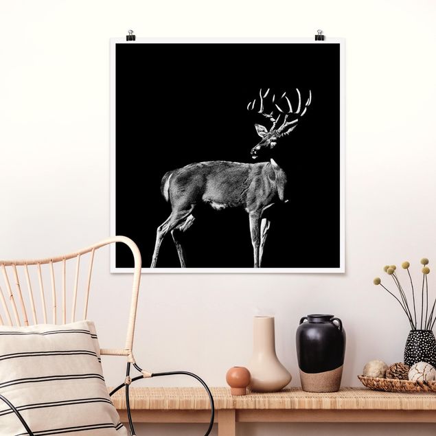 Deer prints Deer In The Dark