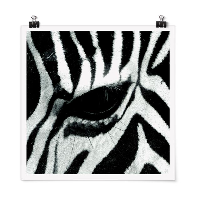 Animal wall art Zebra Crossing