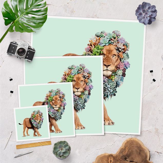 Turquoise canvas wall art Lion With Succulents