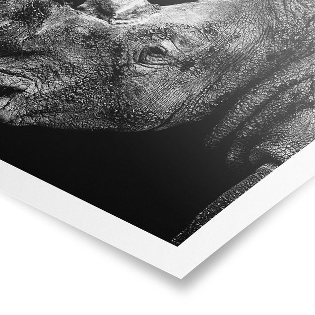 Black and white wall art Rhino Duel