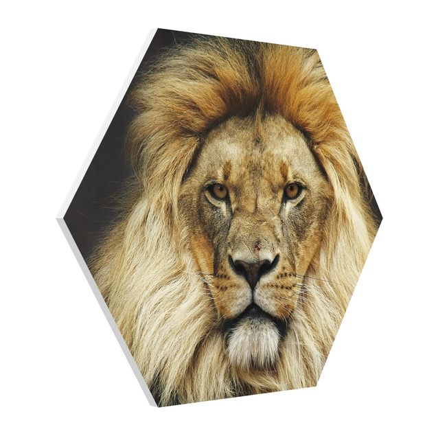 Prints modern Wisdom Of Lion