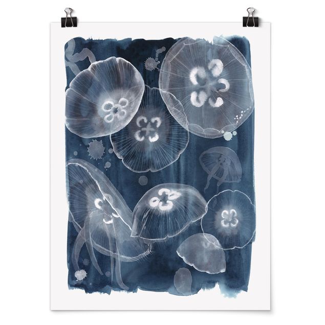 Posters animals Moon Jellyfish II