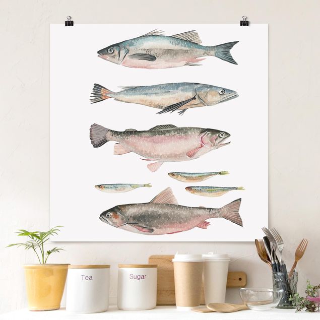 Prints fishes Seven Fish In Watercolour I