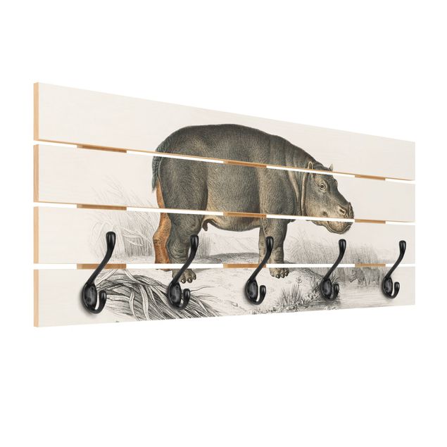 Wall coat rack Vintage Board Hippo