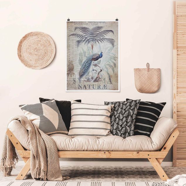 Art posters Shabby Chic Collage - Peacock