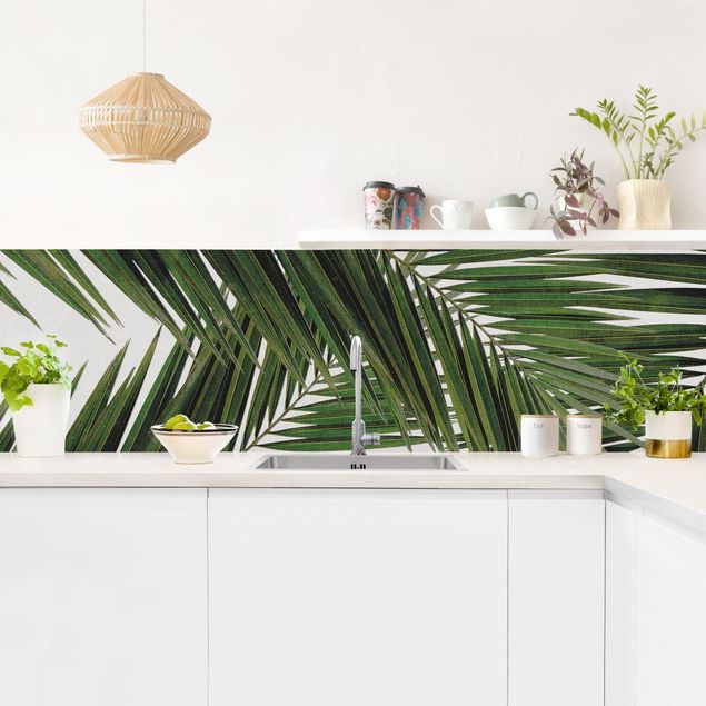 Adhesive films View Through Green Palm Leaves
