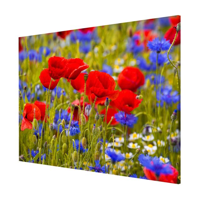 Magnet boards flower Summer Meadow With Poppies And Cornflowers