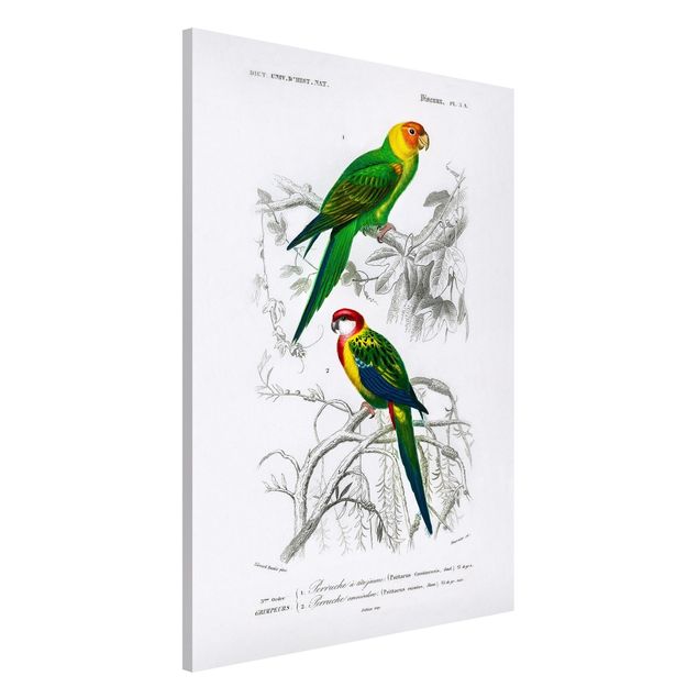 Kitchen Vintage Wall Chart Two Parrots Green Red