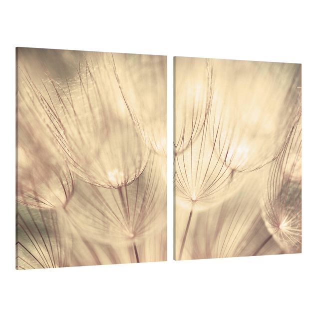 Wall art black and white Dandelions Close-Up In Cozy Sepia Tones