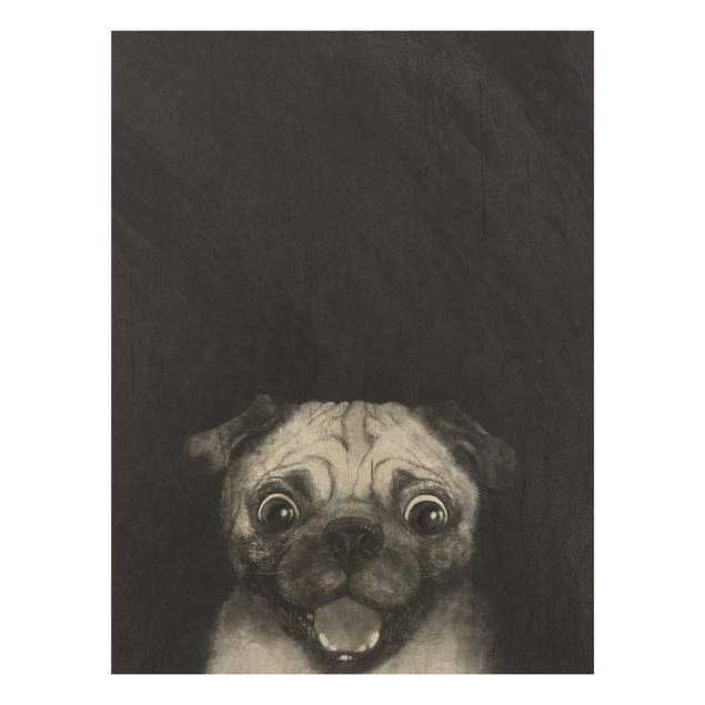 Prints Illustration Dog Pug Painting On Black And White