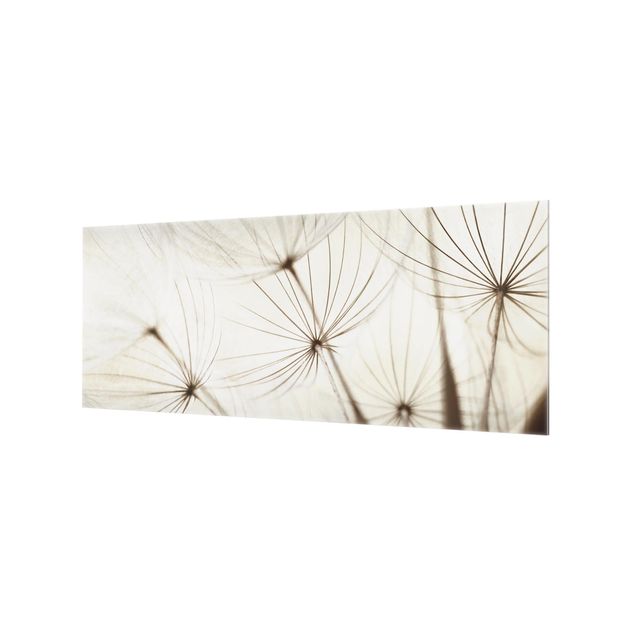 Glass Splashback - Gentle Grasses - Panoramic