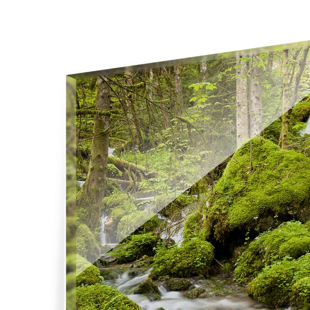 Nature art prints Mossy Stones Switzerland