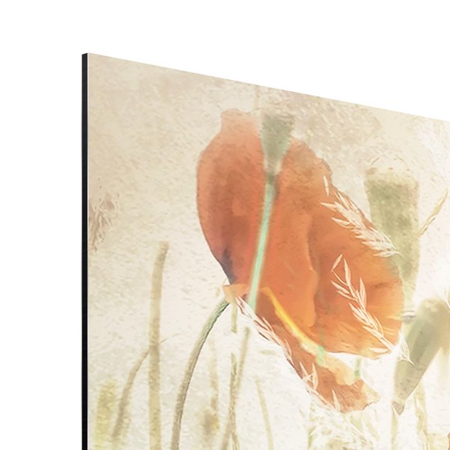 Prints modern Poppy Flowers And Grasses In A Field