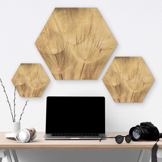 Wooden hexagon - Dandelions Close-Up In Cozy Sepia Tones
