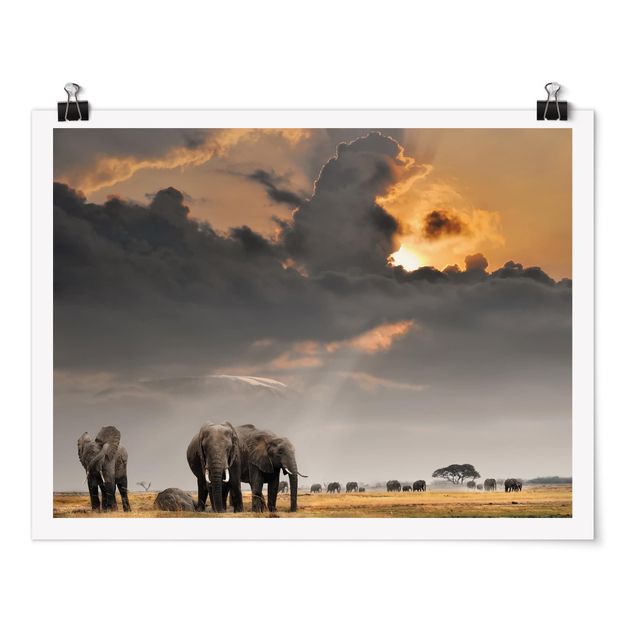Prints animals Elephants in the Savannah
