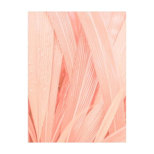 Flower Rugs Palm Leaves Light Pink