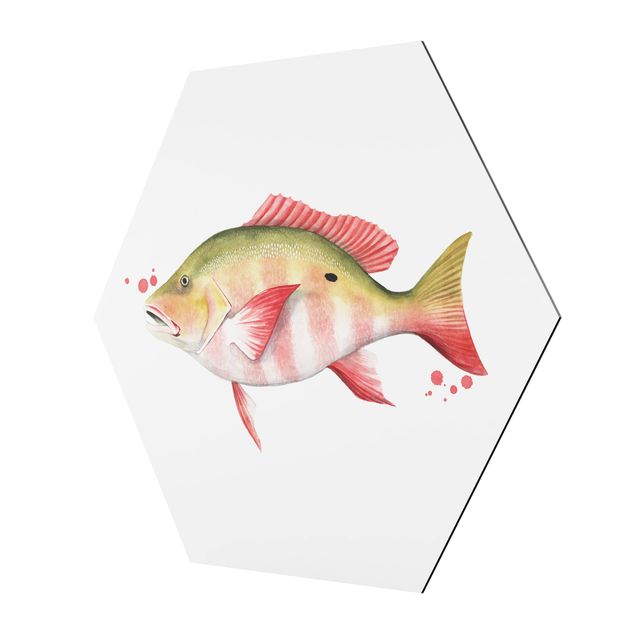 Hexagonal prints Color Catch - Northern Red Snapper