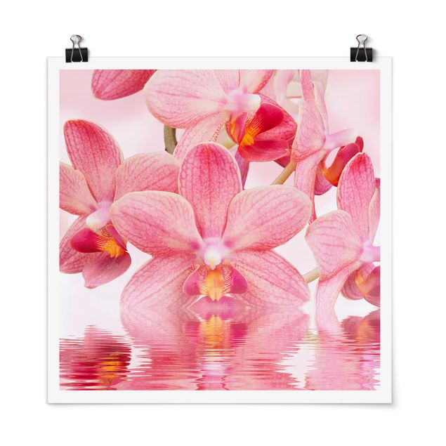 Flower print Light Pink Orchid On Water