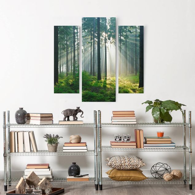 Landscape canvas prints Enlightened Forest