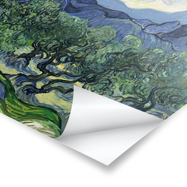 Trees on canvas Vincent Van Gogh - Olive Trees