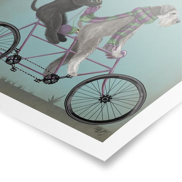 Prints animals Cycling - Schnauzer Tandem