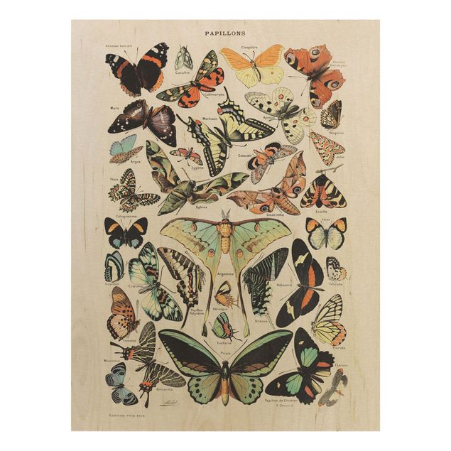 Vintage wood prints Vintage Board Butterflies And Moths