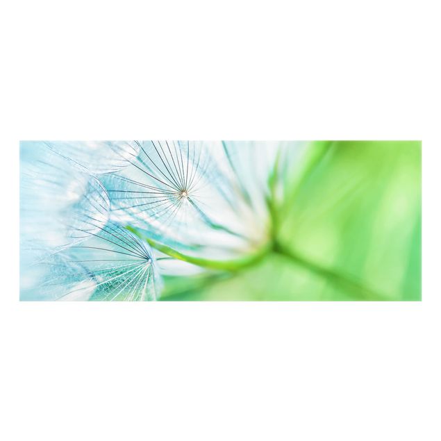 Glass splashback Abstract dandelion