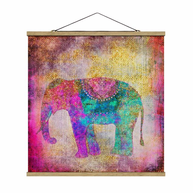 Animal canvas Colourful Collage - Indian Elephant