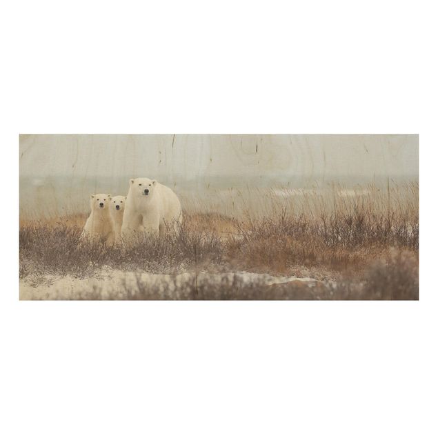 Prints Polar Bear And Her Cubs
