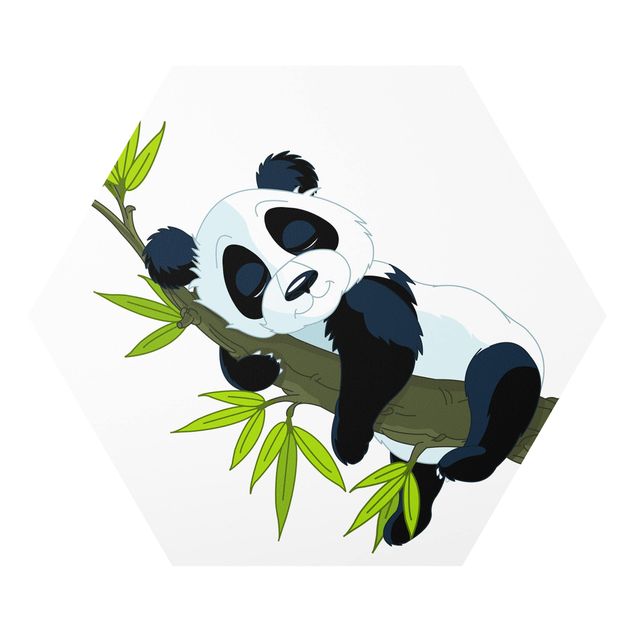 Animal canvas Sleeping Panda