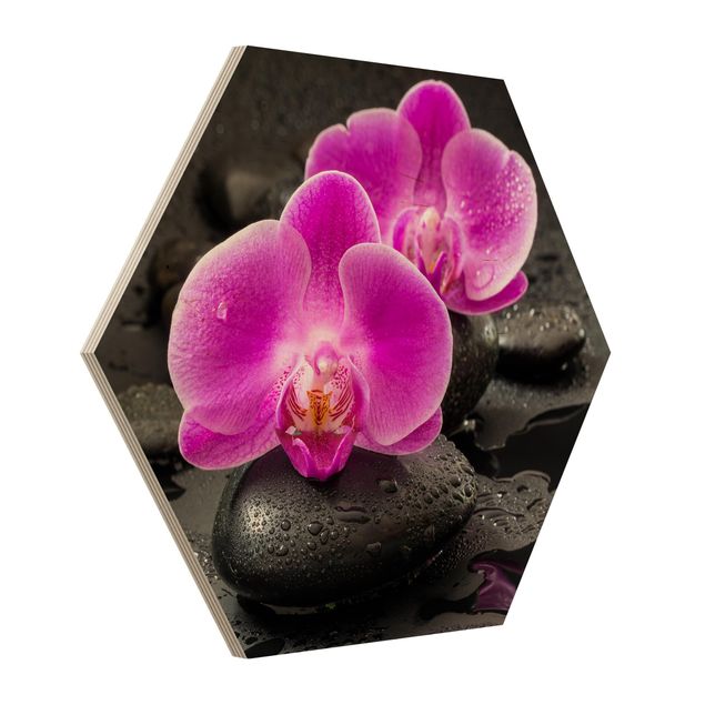 Art prints Pink Orchid Flowers On Stones With Drops