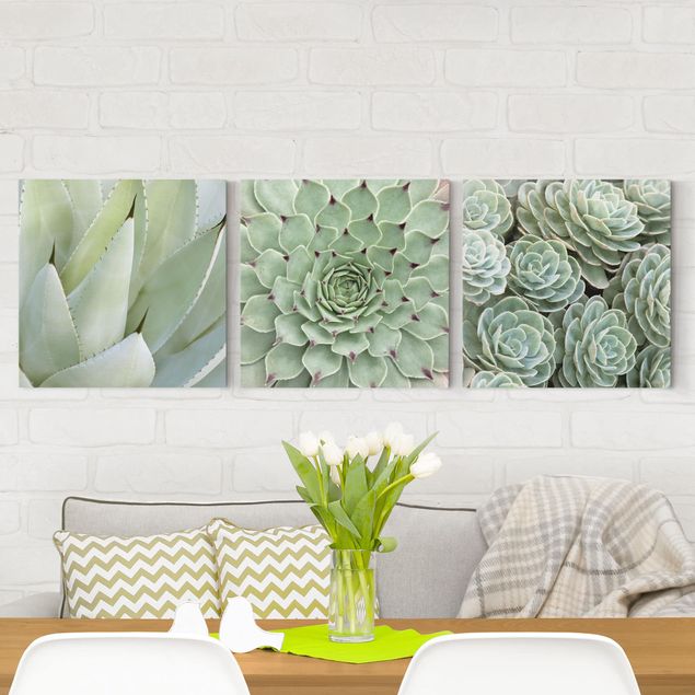 Kitchen Agave and Succulent Trio