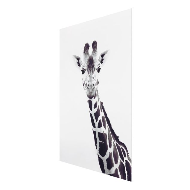 Prints animals Giraffe Portrait In Black And White
