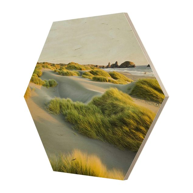 Prints Dunes And Grasses At The Sea
