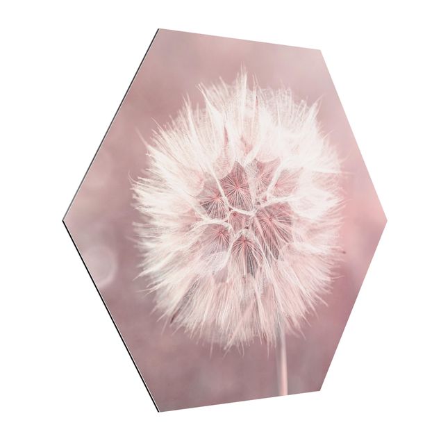 Flower print Dandelion Bokeh Light Pink