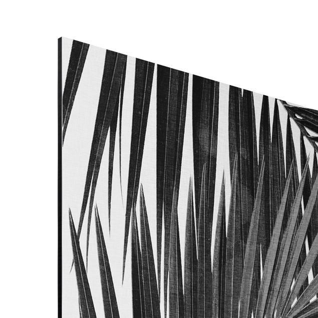 Floral picture View Through Palm Leaves Black And White