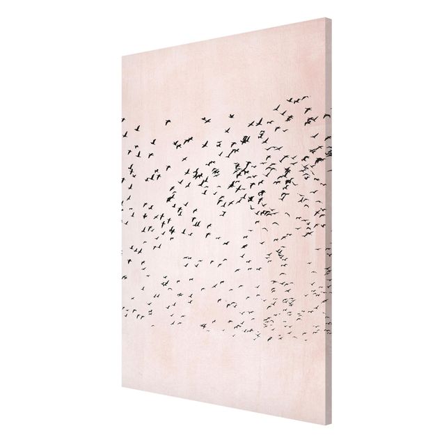 Magnet boards animals Flock Of Birds In The Sunset