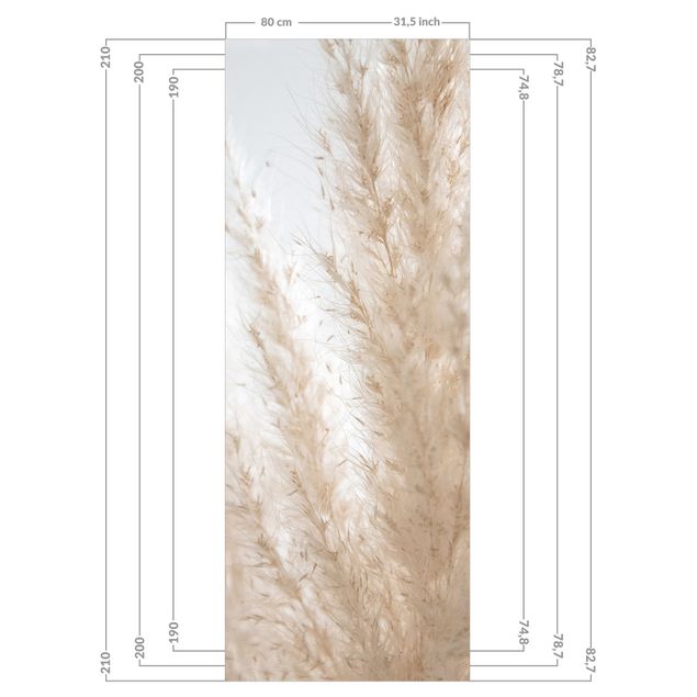 Shower wall cladding - Delicate Pampas Grass Close Up