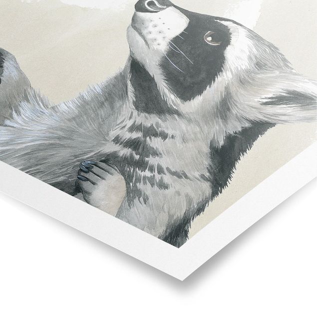 Posters animals Forest Friends - Raccoon