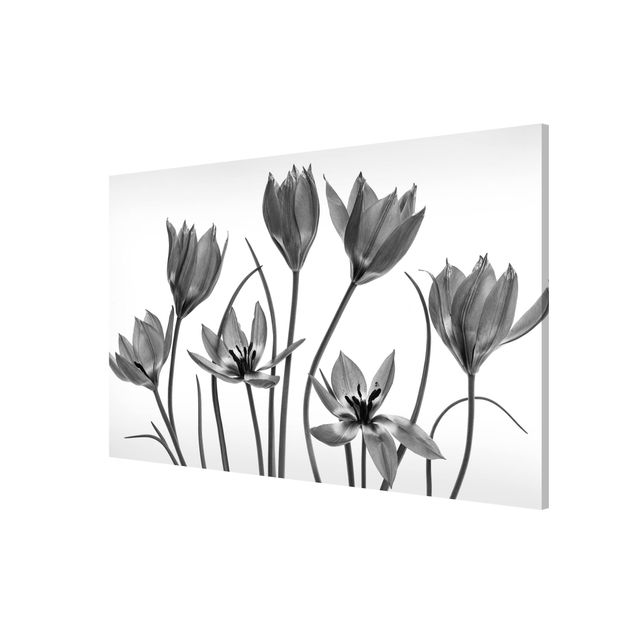 Flower print Seven Tulips Black And White