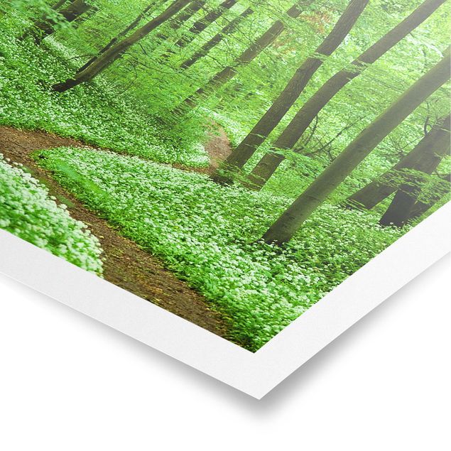 Posters landscape Romantic Forest Track