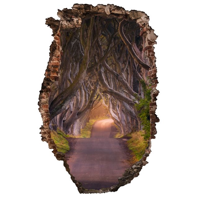 Wall stickers 3d Tunnel Of Trees