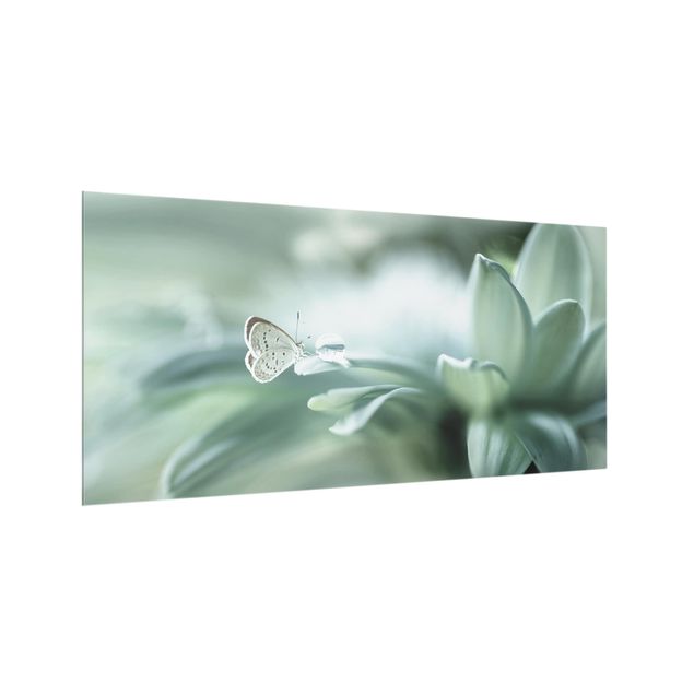 Glass splashback animals Butterfly And Dew Drops In Pastel Green