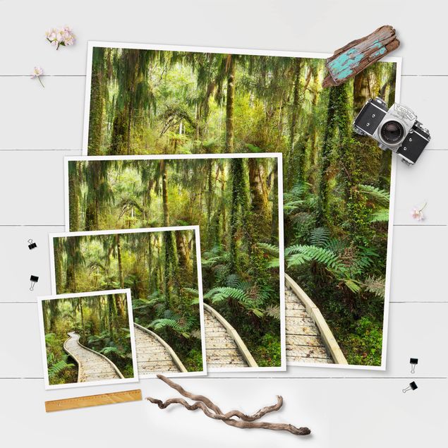 Landscape poster prints Path In The Jungle
