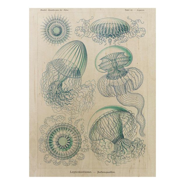 Vintage wood prints Vintage Board Jellyfish In Blue