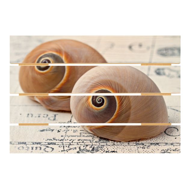 Wood prints Shell Duo