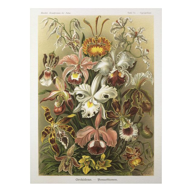 Orchid print Vintage Board Orchid